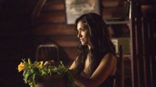 Janina Gavankar as Tess