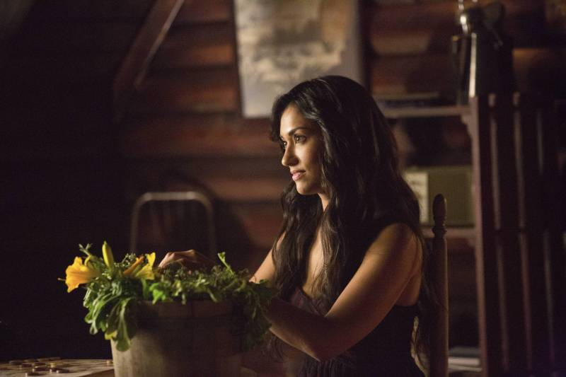 Janina Gavankar as Tess