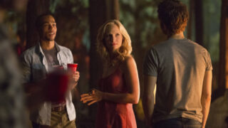Partying in the Woods
