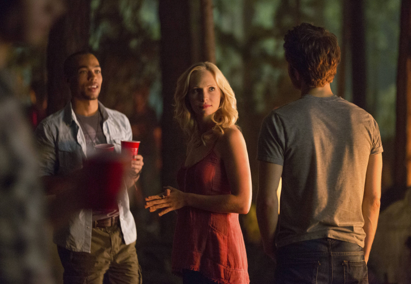 Partying in the Woods