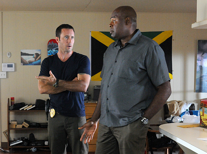 McGarrett's Partner