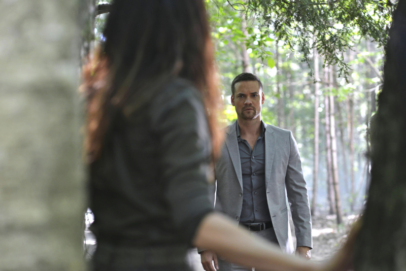 Michael Finds Nikita