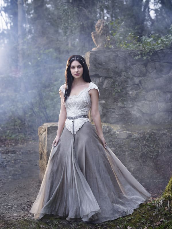 A Gorgeous Dress