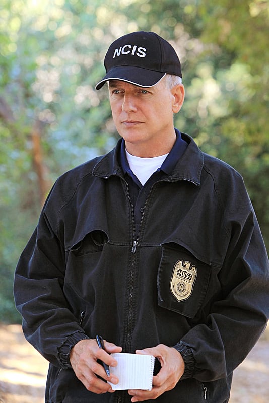 A Leroy Jethro Gibbs Picture