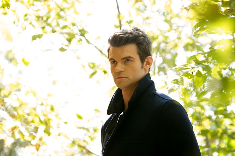 Elijah in the Woods