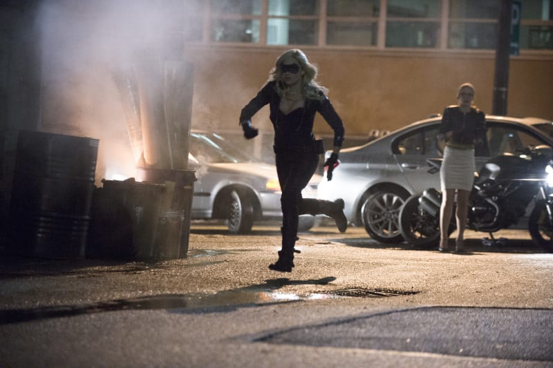 Canary in Action!