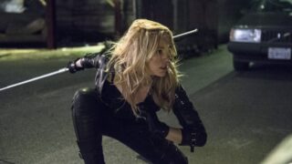 Fighting Canary
