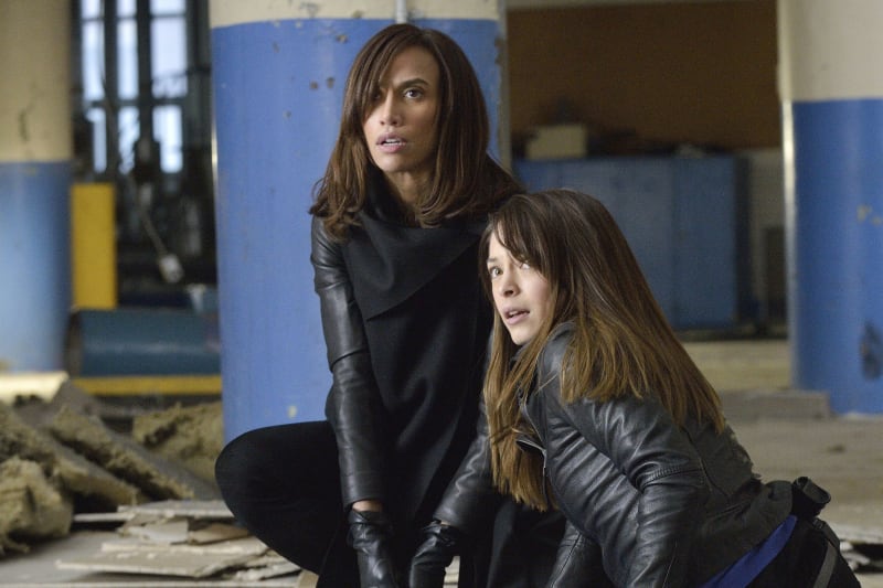 Tess and Cat Find Trouble