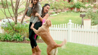 Family Play Time
