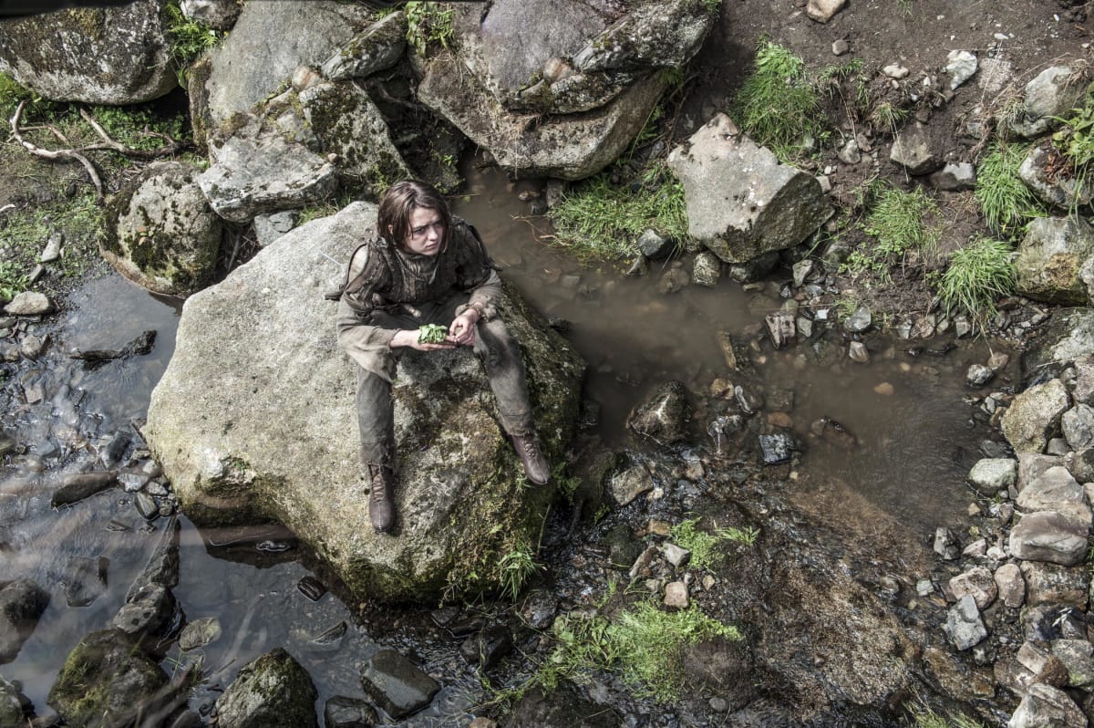 Arya in the Woods