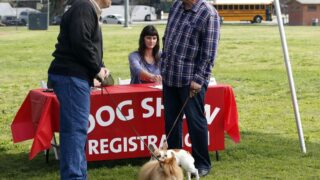 The Secret Dog Show