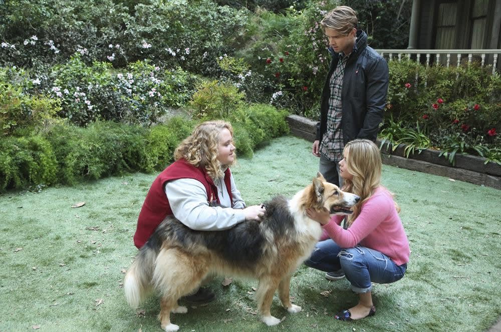 Playing with the Dog