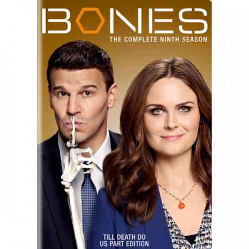 Bones Season 9 on DVD