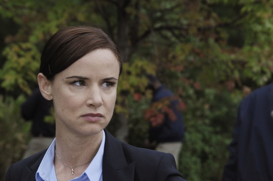 Detective Cornell - Secrets and Lies