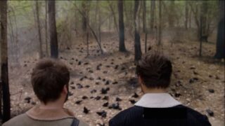 The Birds Are Dying - Salem
