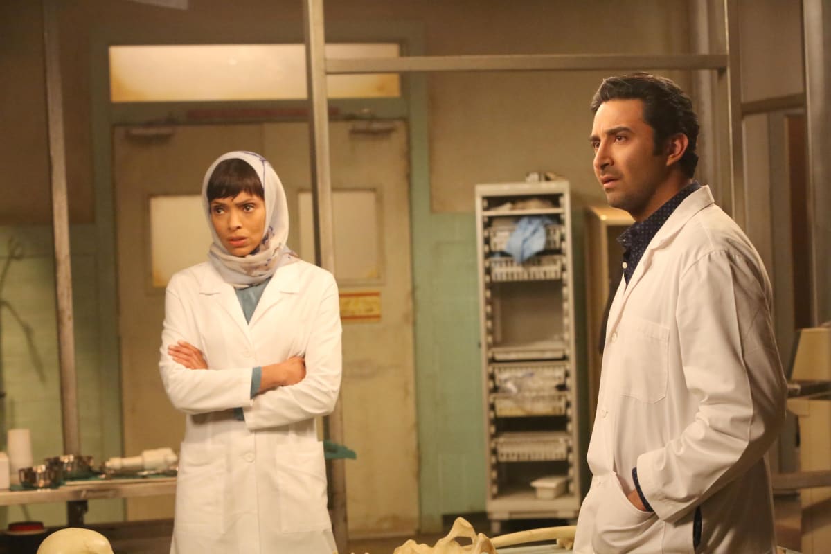 Favorite Subplot