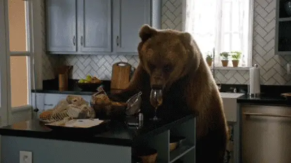 Animal Attack We Loved Most - Wine Bear