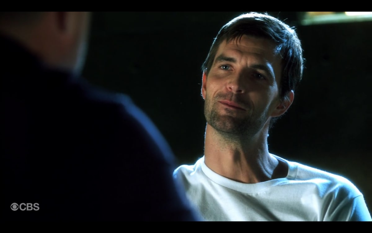 Lucas Bryant as Sean McHenry - 