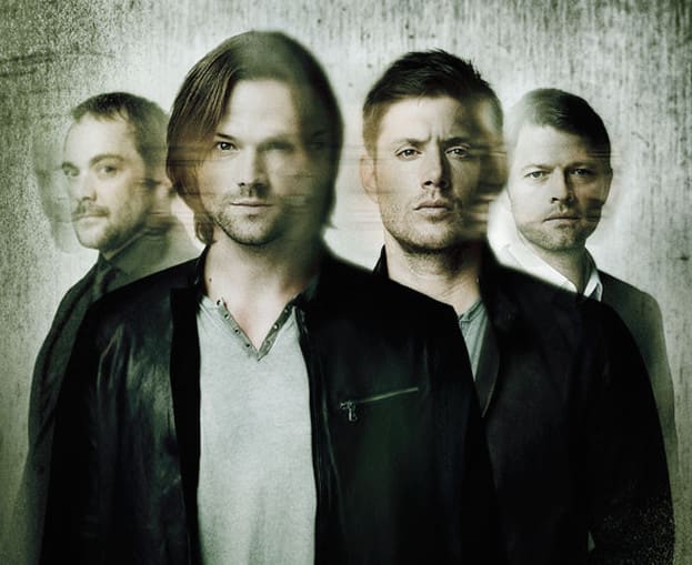 TV Fanatic list item image