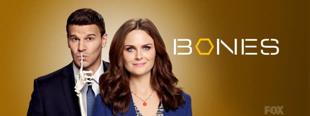 Bones Winter Finale Round Table: What Will Hodgins Do Next?