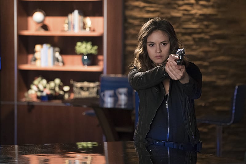 The Huntress - The Vampire Diaries