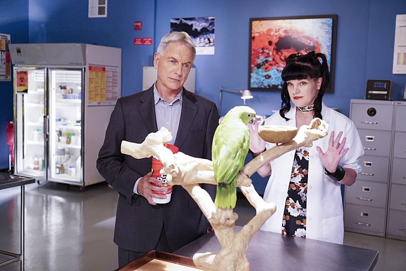 Exotic Bird in the Lab - NCIS