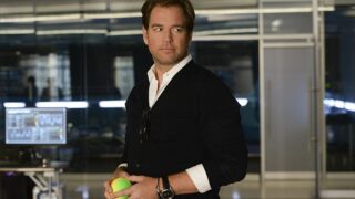 An Unexpected Connection - Bull