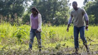 Checking the Farm - Queen Sugar