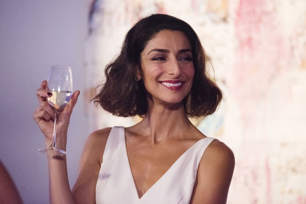 Delia Banai - Girlfriends' Guide to Divorce