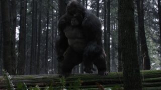 Grodd in the woods - The Flash Season 3 Episode 13