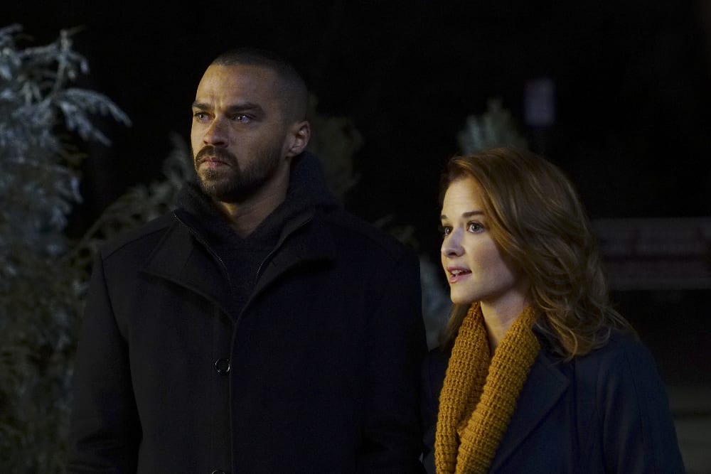 A Little Support - Grey's Anatomy Season 13 Episode 16