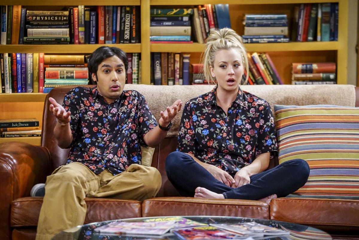 We're Twins! - The Big Bang Theory Season 10 Episode 19