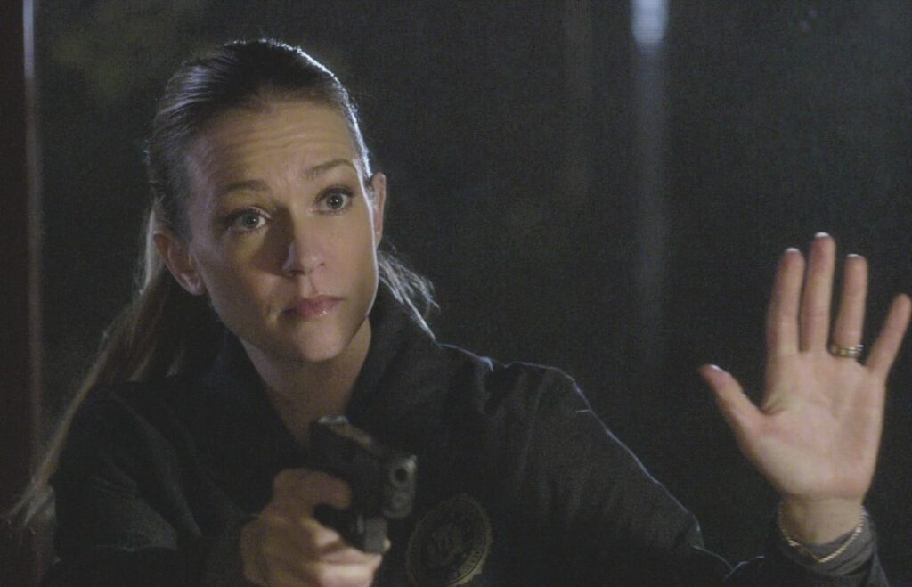 A Cautious Approach - Criminal Minds Season 12 Episode 19
