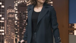 Harlee Stops a Hit - Shades of Blue Season 2 Episode 8