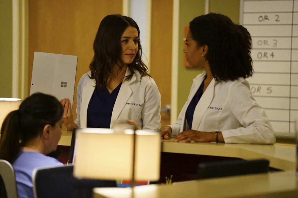 Chatty Siblings - Grey's Anatomy Season 13 Episode 22