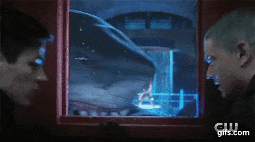 King Shark!
