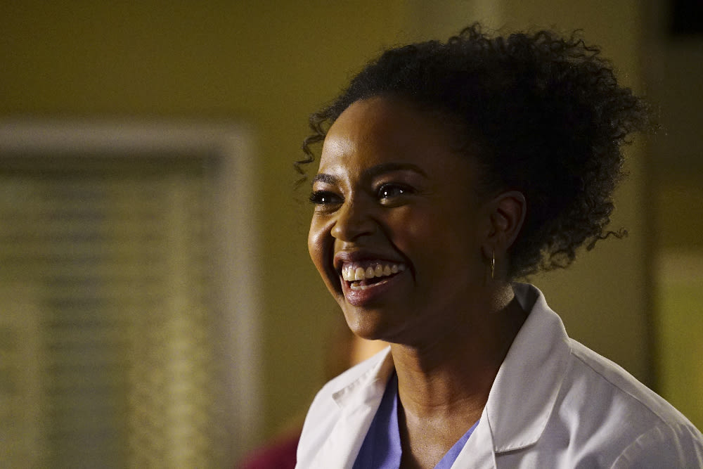 Smiling Beauty - Grey's Anatomy Season 13 Episode 22