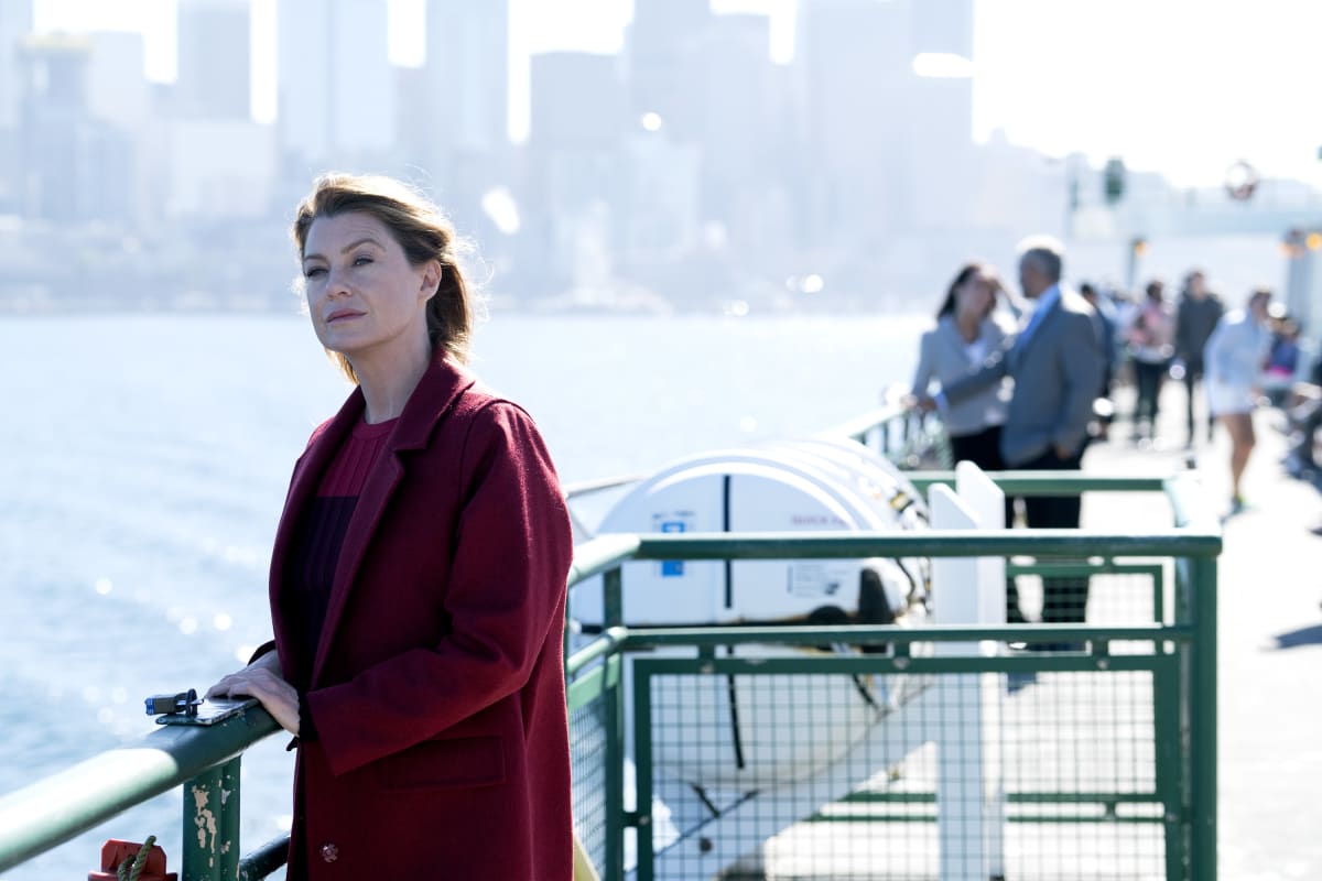 Ferry Boat Flashbacks - Grey's Anatomy Season 14 Episode 7
