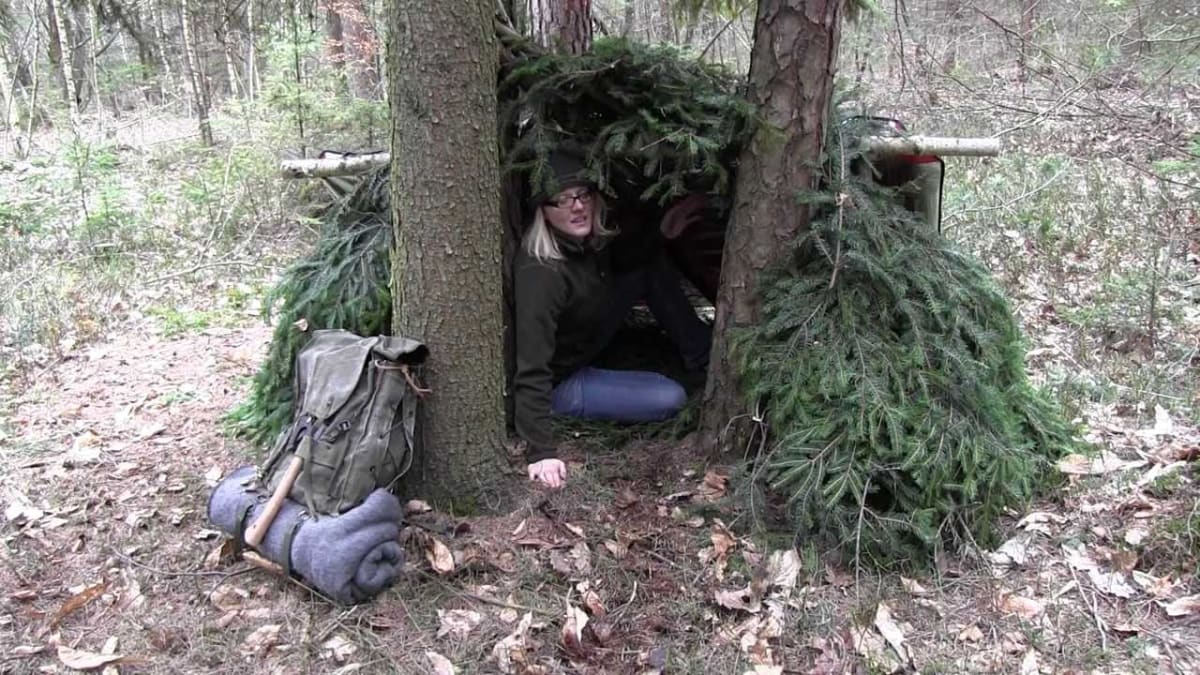 Shelter