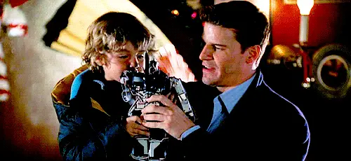 Seeley Booth, Bones