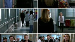Meredith's Ghosts