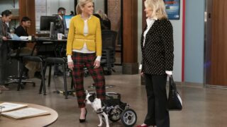 Adopt a Dog - Murphy Brown