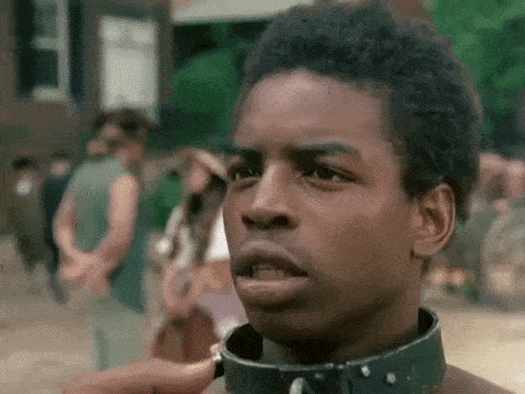 Roots - 1977