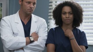 Malex Attack - Grey's Anatomy