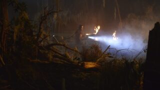 Abby Ventures into the Swamp