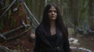 Working Together - The 100