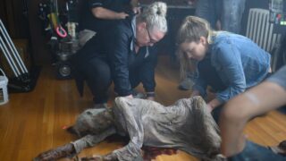 Dead At a Bus Stop - Coroner