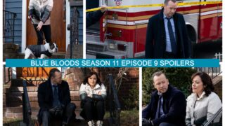 Blue Bloods Season 11 Episode 9 Spoilers - Blue Bloods