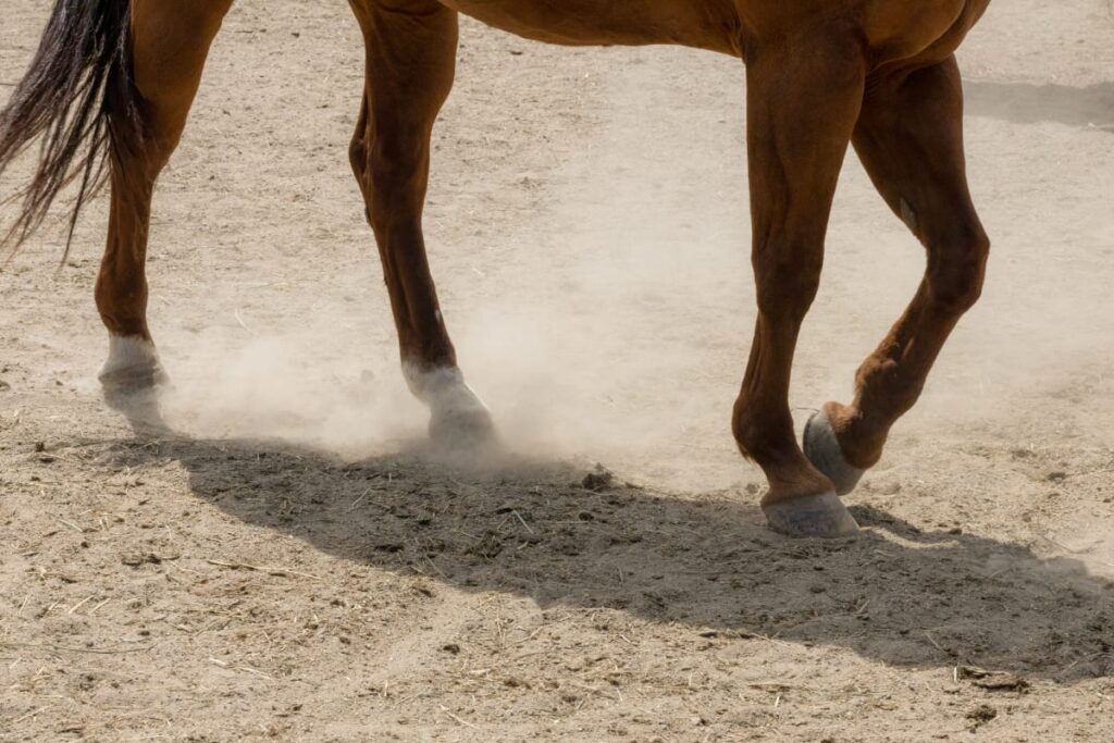 Horse Work - Yellowstone Season 5 Episode 5