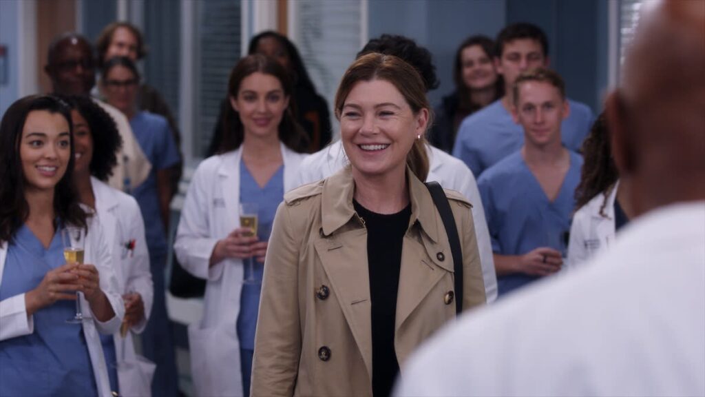Farewell Party for Mer - Grey's Anatomy Season 19 Episode 7